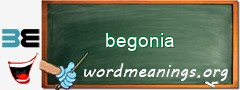 WordMeaning blackboard for begonia